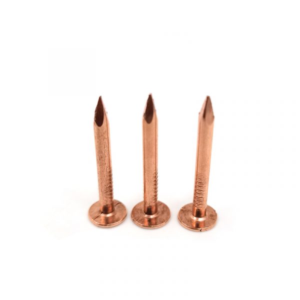 Copper Plated Roofing Nail (1)