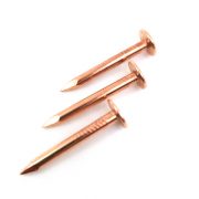 Copper Plated Roofing Nail (2)