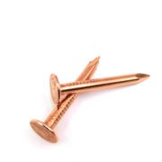 Copper Plated Roofing Nail (5)
