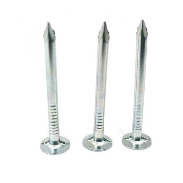 Galvanized Roofing Nail (4)