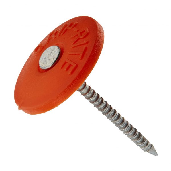 plastic cap Roofing nail (4)